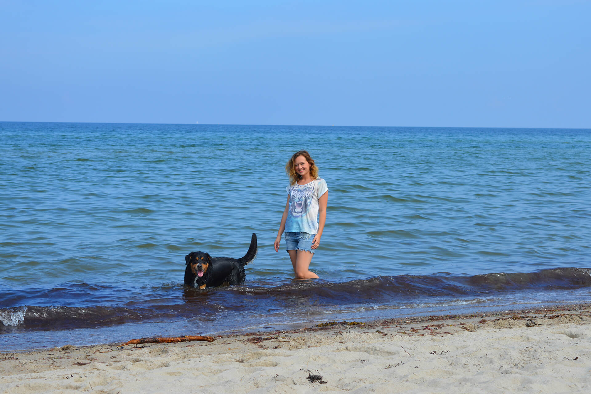 Weissenhäuser Strand Urlaub mit Hund an der Ostsee